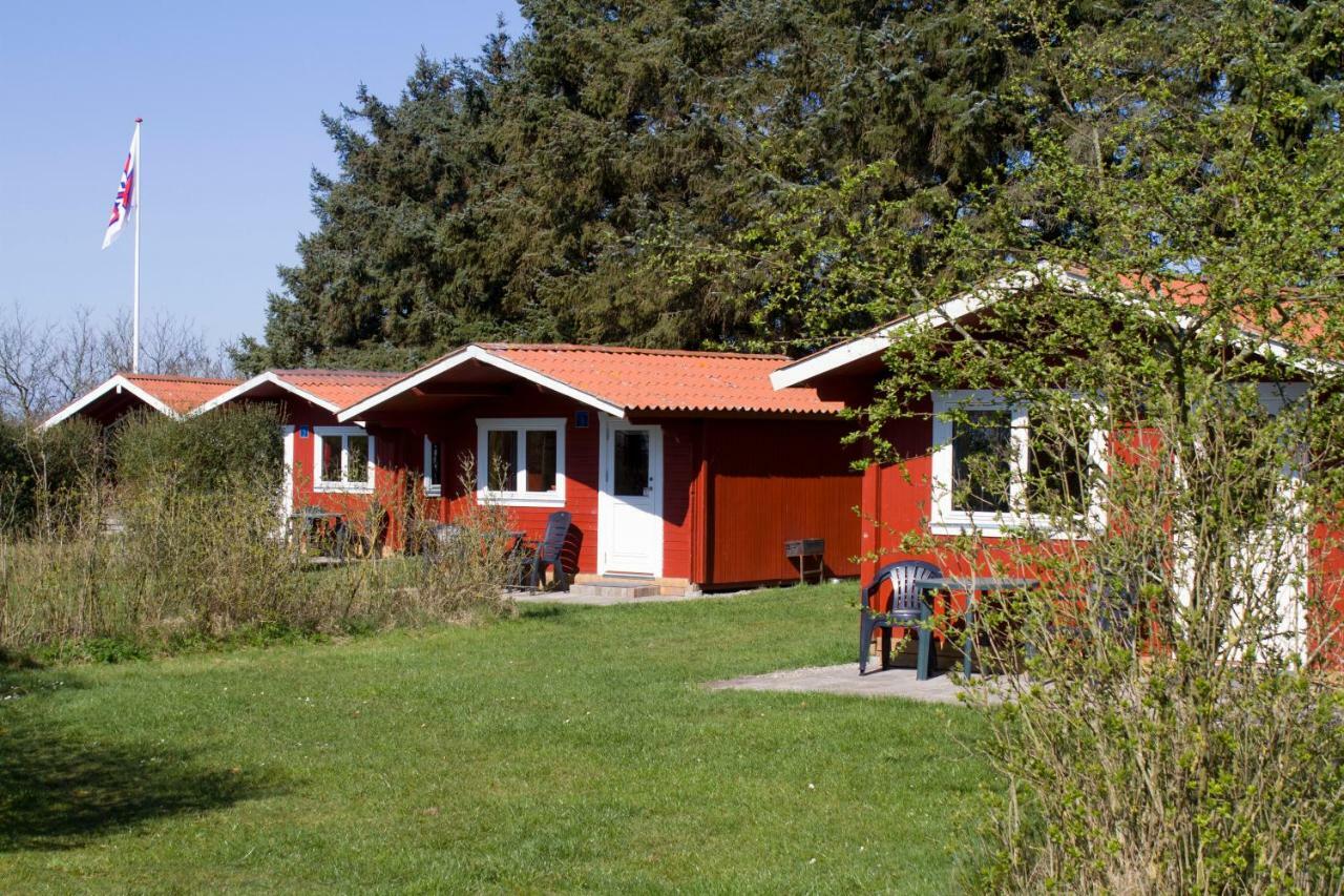 Ballum Camping Villa Ngoại thất bức ảnh